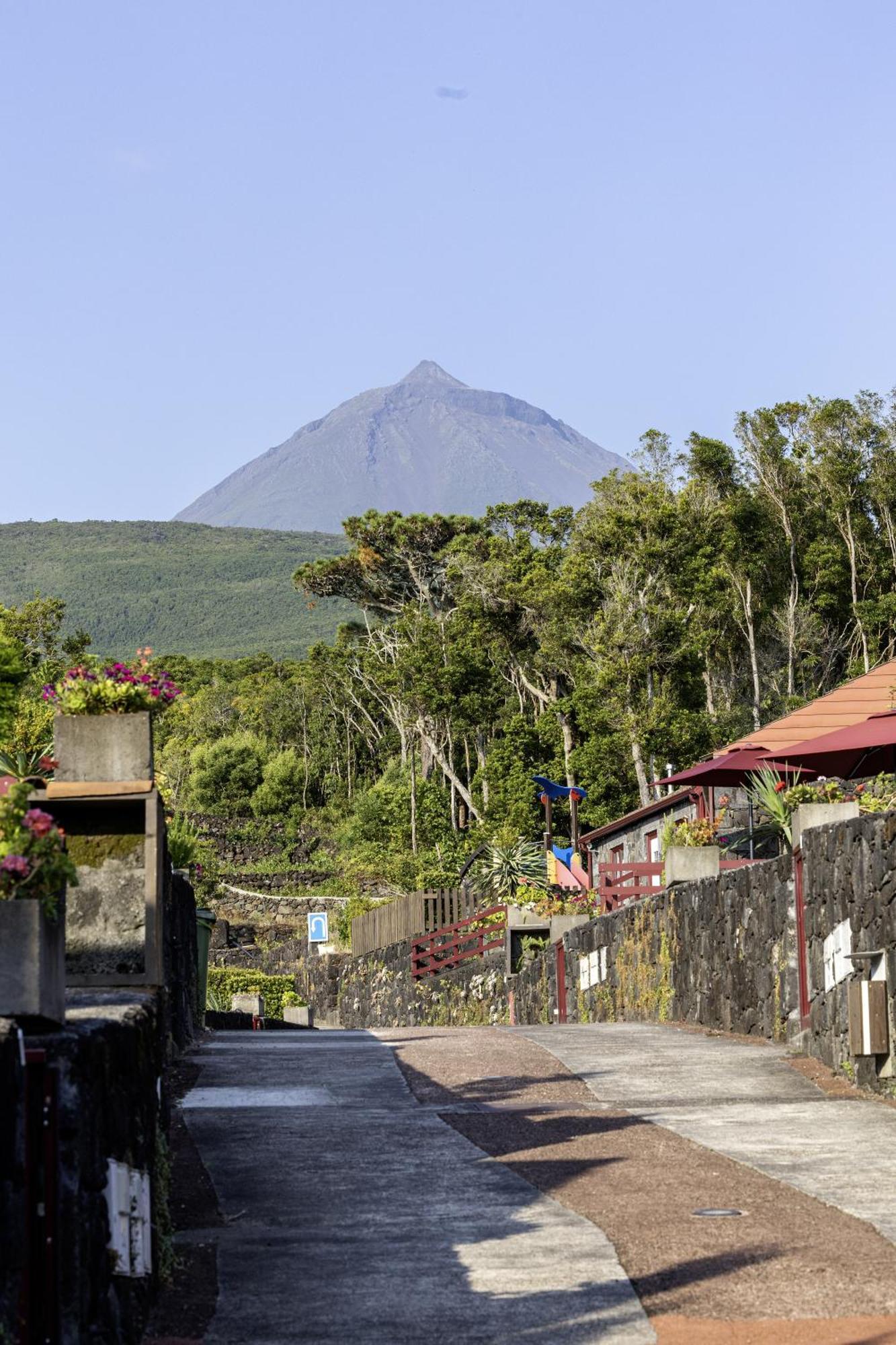 Aldeia Das Adegas São Roque do Pico Eksteriør billede